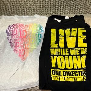 1D merchandises … 2 T-shirts, 2 CDs, 5 books, 4 stage dolls & 4 posters(1 sign).
